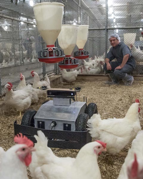 ATRP technology at work in a poultry plant.